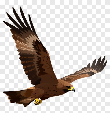 Flying Brown Eagle PNG