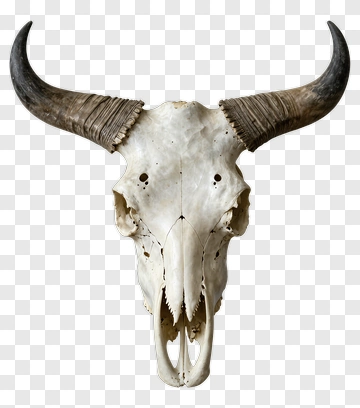 Animal Skull With Horns PNG