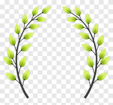 Green Leafy Branches PNG