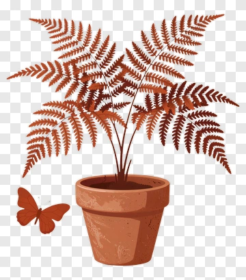 Fern Plant In A Pot With A Butterfly PNG