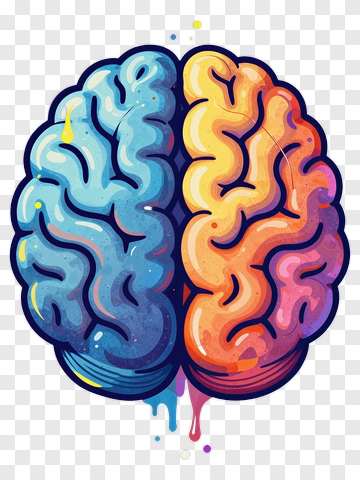 Colorful Brain Illustration PNG