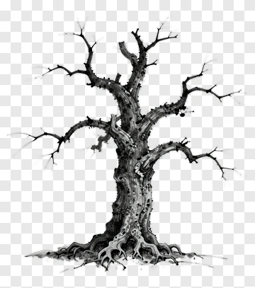 Black And White Tree With Gnarled Roots PNG