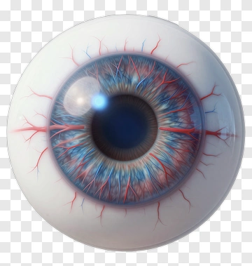 Realistic Human Eye PNG