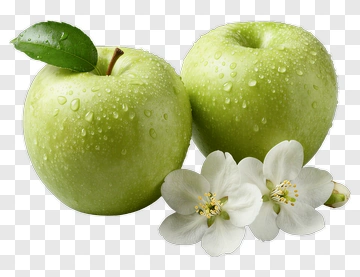 Green Apples With Blossoms PNG