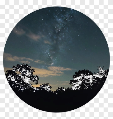 Night Sky With Stars And Silhouetted Trees PNG