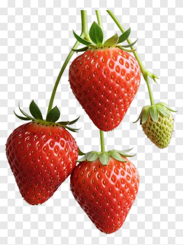 Strawberries On A Stem PNG