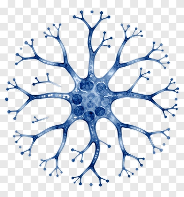 Blue Neuron Illustration PNG