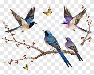 Colorful Birds Perched On A Branch With Flowers PNG