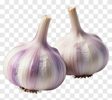 Garlic Bulbs PNG
