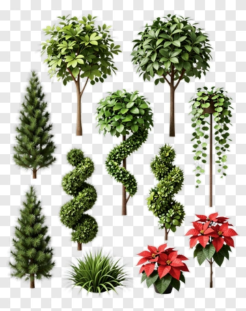Collection Of Various Trees And Plants PNG