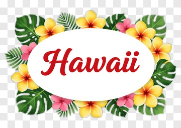 Hawaii Floral Design PNG