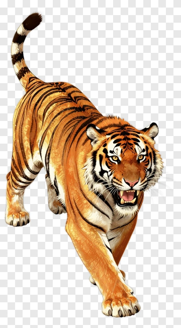 3D Tiger Walking PNG