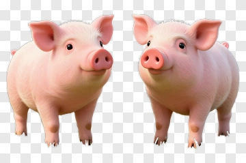 3D Cartoon Pig Character PNG