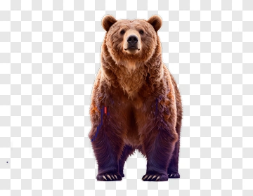 Realistic Brown Bear PNG