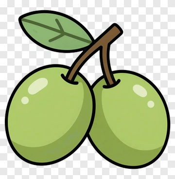 Cartoon Green Olives On A Branch PNG