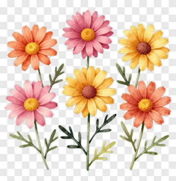 Colorful Flower Bouquet PNG