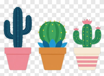 Colorful Cacti In Pots PNG