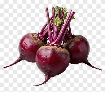 Fresh Beetroot Bunch PNG