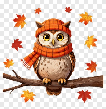 Cartoon Owl Wearing A Scarf And Hat PNG
