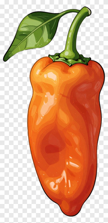 Orange Bell Pepper PNG