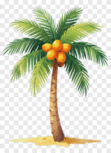 Colorful Coconut Tree With Oranges PNG