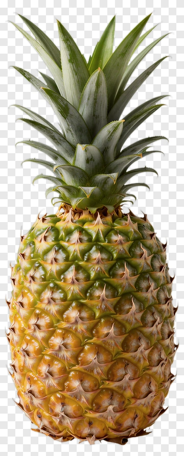 Pineapple PNG