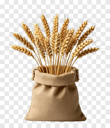 Wheat Stalks In A Burlap Sack PNG