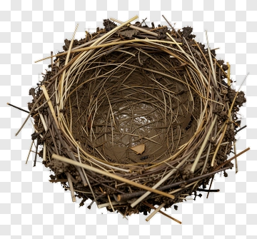 Bird Nest PNG