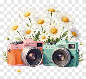 Cameras Surrounded By Daisies PNG