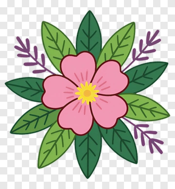 Colorful Flower With Green Leaves PNG