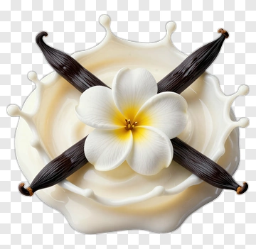Vanilla Flower With Cream Splash PNG