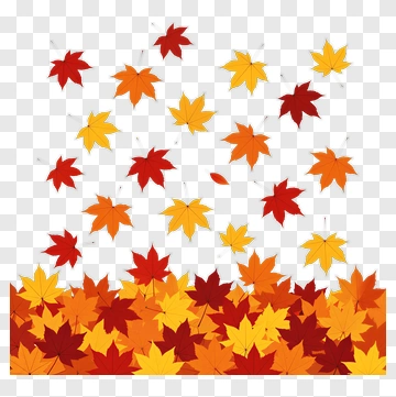 Colorful Autumn Leaves Falling PNG