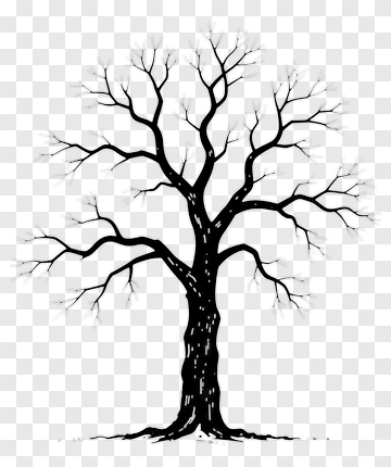 Black Tree With Bare Branches PNG