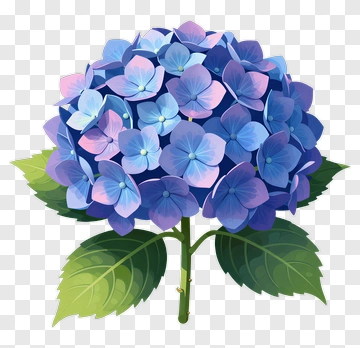 Colorful Hydrangea Flower Bouquet PNG