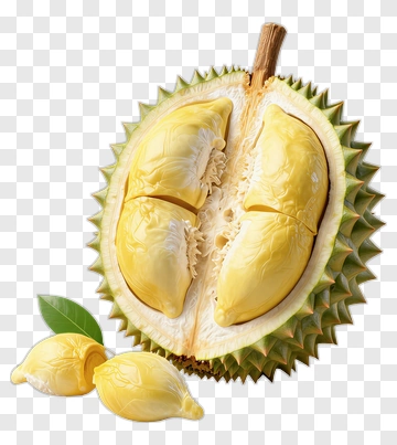 Durian Fruit With Yellow Flesh And Green Leaves PNG