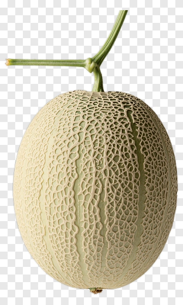 Cantaloupe Melon PNG