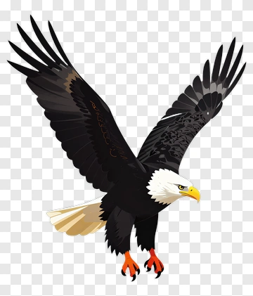 Eagle In Flight PNG