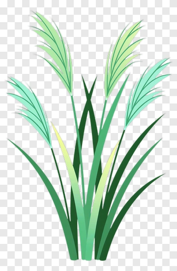 Colorful Grass With Green Leaves PNG