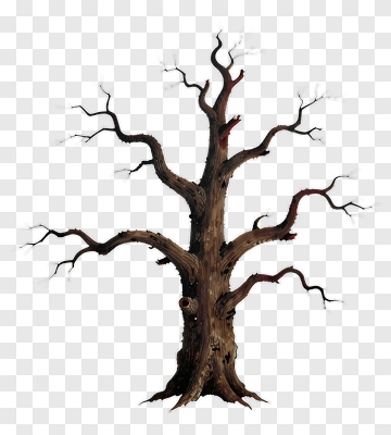 Dead Tree With Twisted Branches PNG