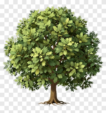 Colorful Tree PNG