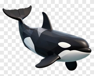 3D Orca Whale PNG