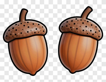 Cartoon Acorns PNG