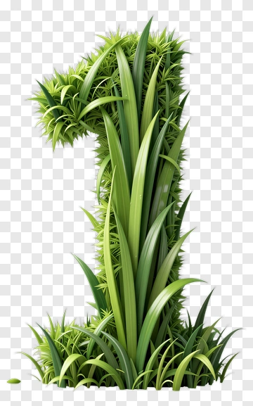 Green Grass Number One PNG