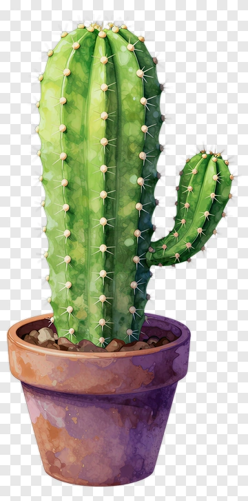 Cactus In A Pot PNG
