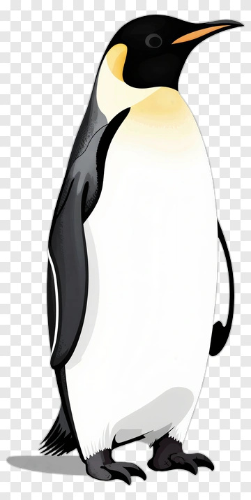 Cartoon Emperor Penguin PNG
