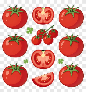 Colorful Tomato Collection PNG