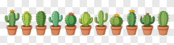 Colorful Cactus Collection In Pots PNG