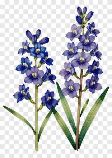 Purple Flower Bouquet PNG