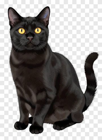 Realistic Black Cat With Yellow Eyes PNG