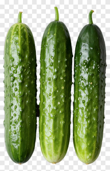Fresh Cucumbers PNG